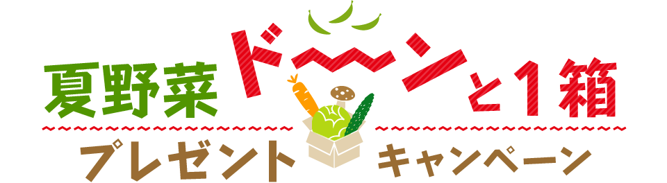 夏野菜ドーンと1箱プレゼントキャンペーン